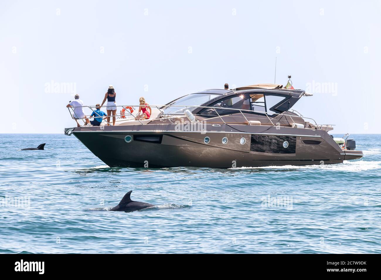 La gente a bordo di uno yacht di lusso che guarda delfini, Lagos, Algarve, Portogallo Foto Stock