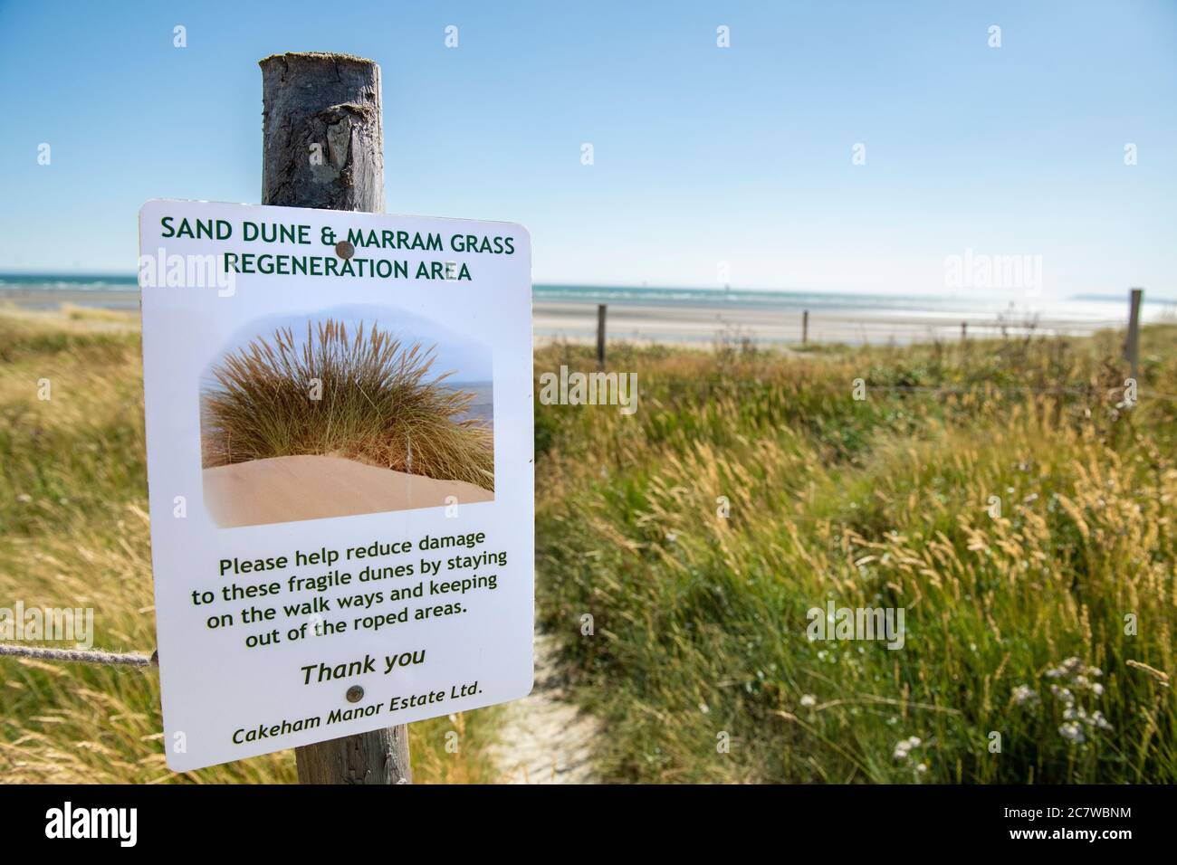 Dune di sabbia sulla bellissima spiaggia di West Wittering, West Sussex Foto Stock