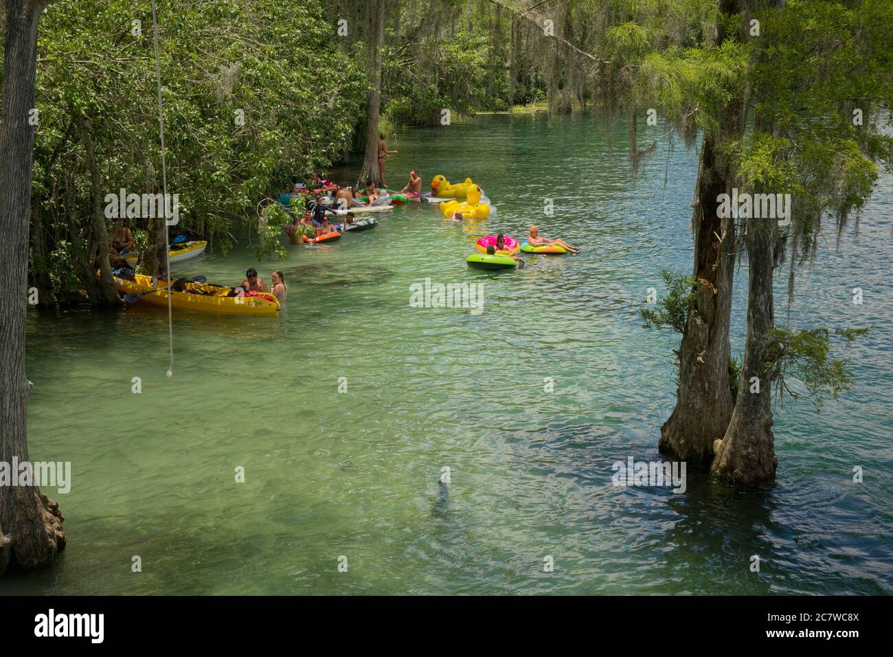 Le persone che si godono le acque cristalline del fiume Rainbow alimentato in primavera a Dunnellon, Florida. Un luogo di vacanza popolare per turisti e locali. Marion County Florida Foto Stock