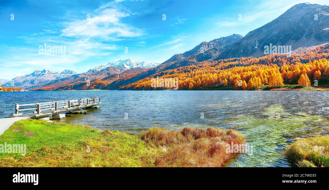 Splendida scena autunnale nelle Alpi svizzere e vista sul lago Sils (Silsersee). Colorata scena autunnale delle Alpi svizzere. Località: Maloya, Engadina, Grison Foto Stock