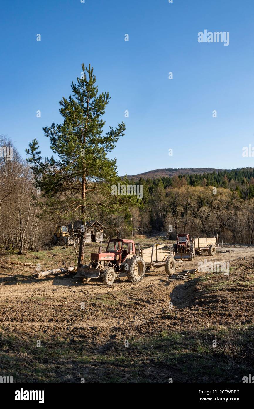 Vecchio trattore bielorusso (MTZ Bielorussia) con rimorchio per il trasporto del legno nella foresta di Bieszczady Carpazi orientali, Polonia, Europa. Foto Stock