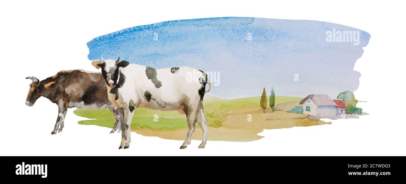 Mucca e toro sul semplice paesaggio acquerello con prati e solitaria casa con alcuni alberi. Orisontale illustrazione rurale isolato su bianco Foto Stock