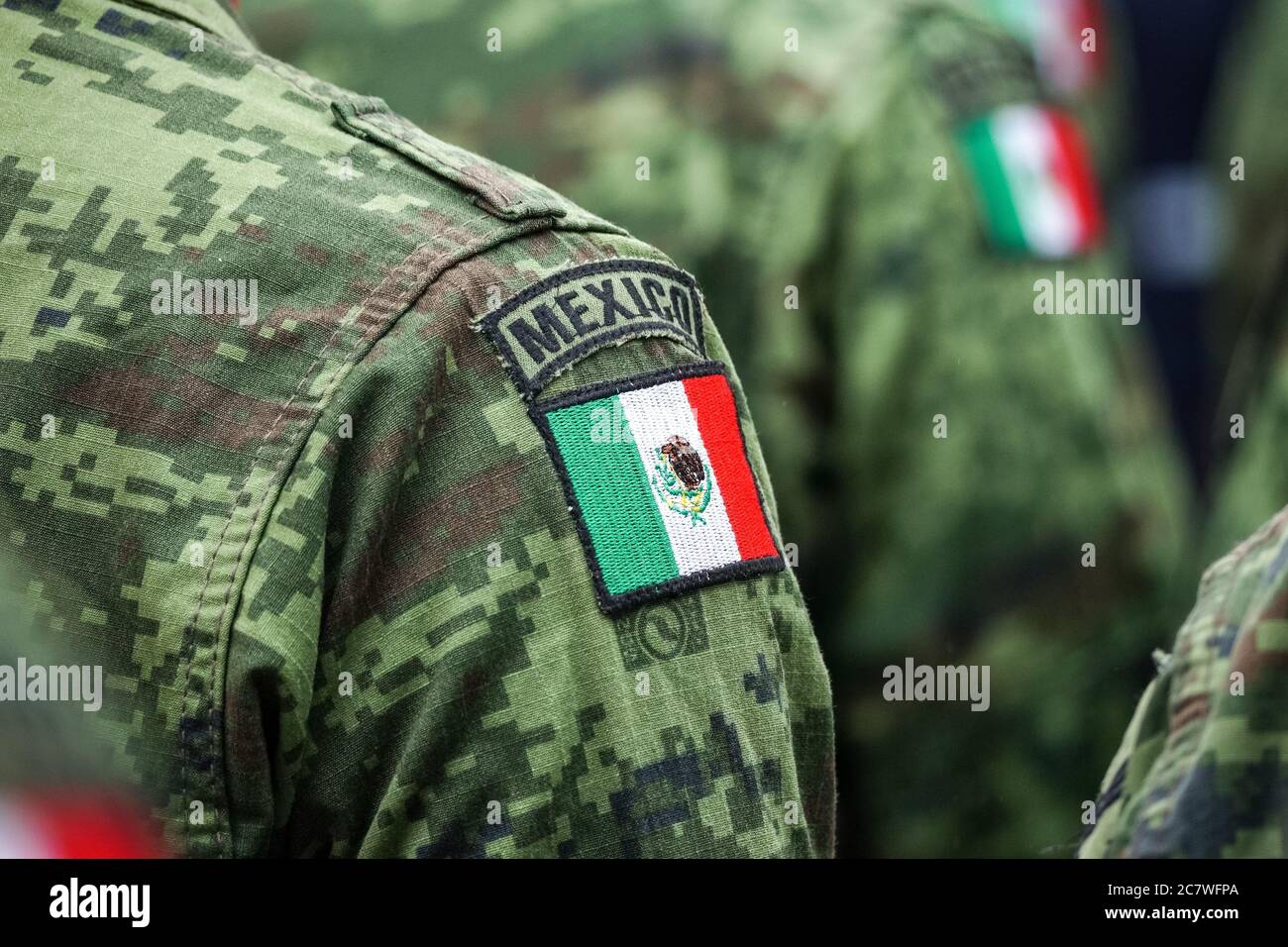 I membri dell'Esercito Messicano si riuniscono durante una celebrazione del 251° compleanno dell'eroe messicano Ignacio Allende 21 gennaio 2020 a San Miguel de Allende, Guanajuato, Messico. Foto Stock