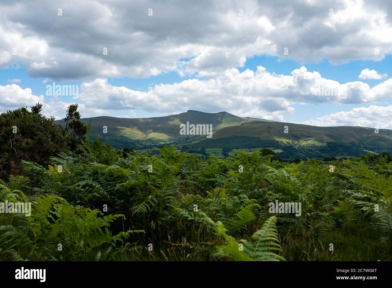 Brecon Beacons, Wales, Regno Unito Foto Stock