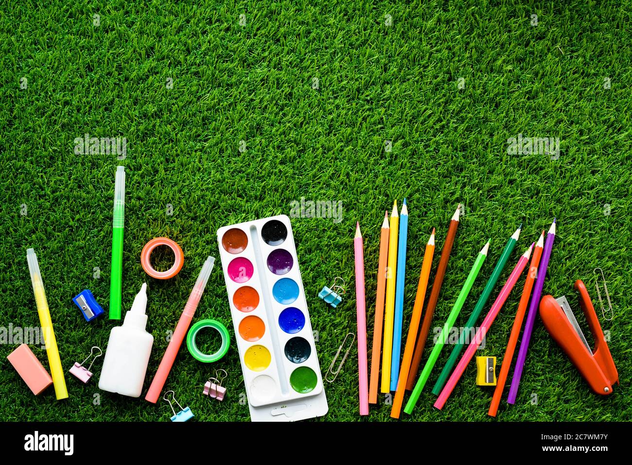 Matite colorate, pitture, forniture scolastiche e plastilina sulla vista dall'alto dell'erba verde. Cancelleria. Concetto di ritorno a scuola. Foto Stock