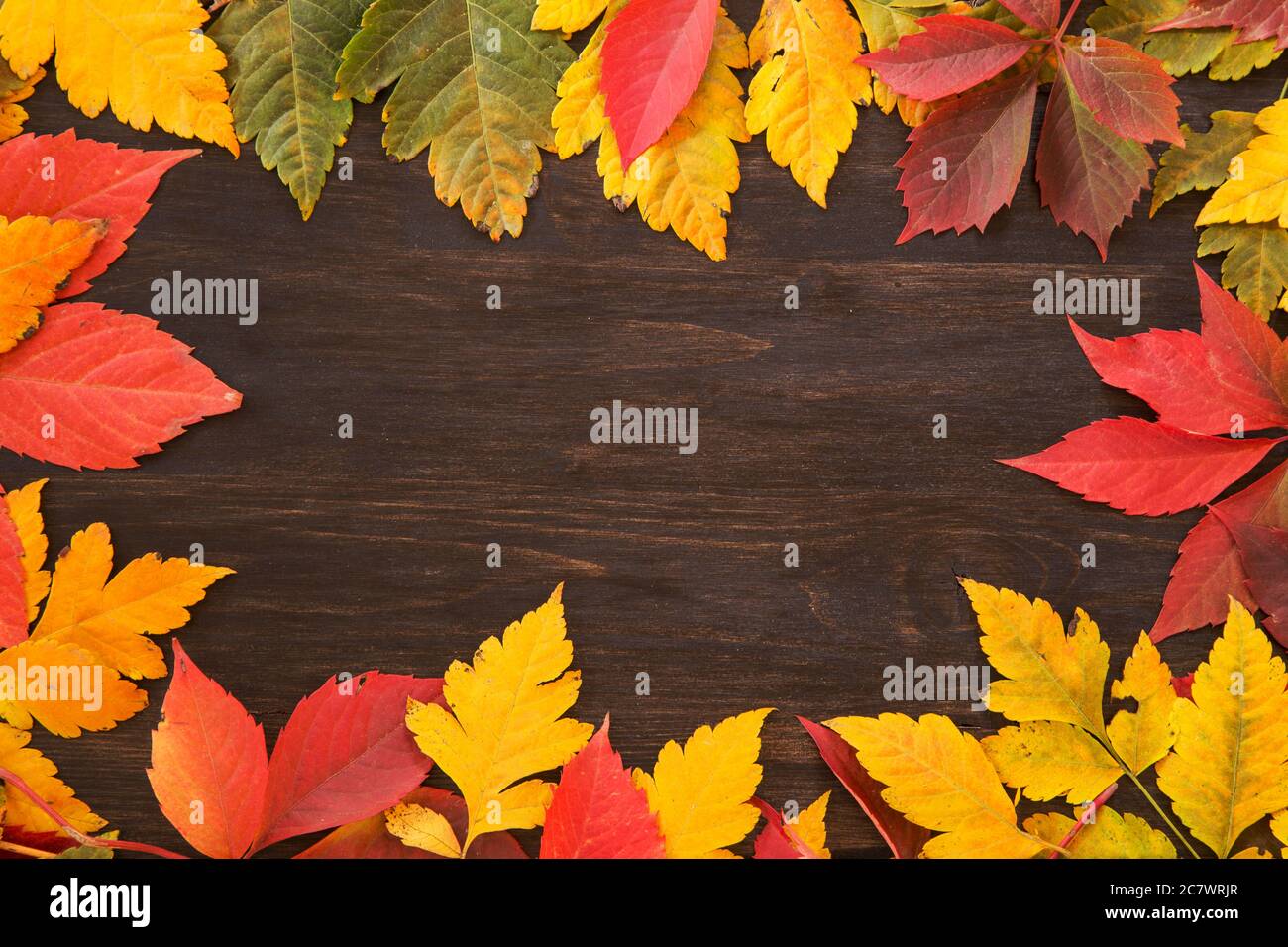 Foglie di autunno cornice su sfondo di legno Foto Stock