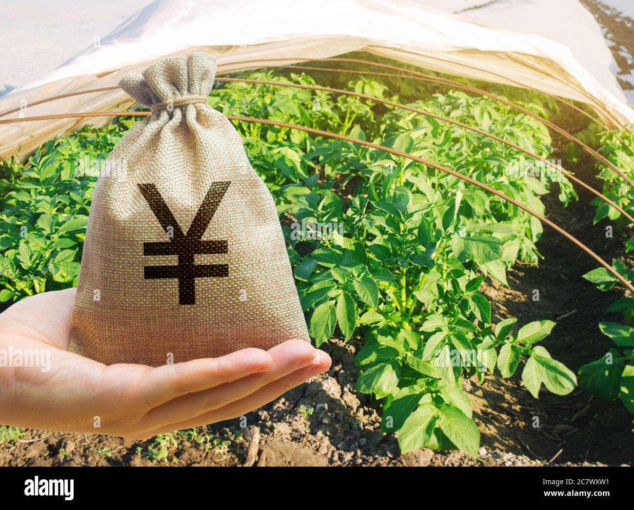 Coltivatore che tiene un sacchetto di soldi sullo sfondo delle piantagioni di patate. Lo sviluppo dell'industria agricola. Startup agricole. Prestiti e sussistenza Foto Stock