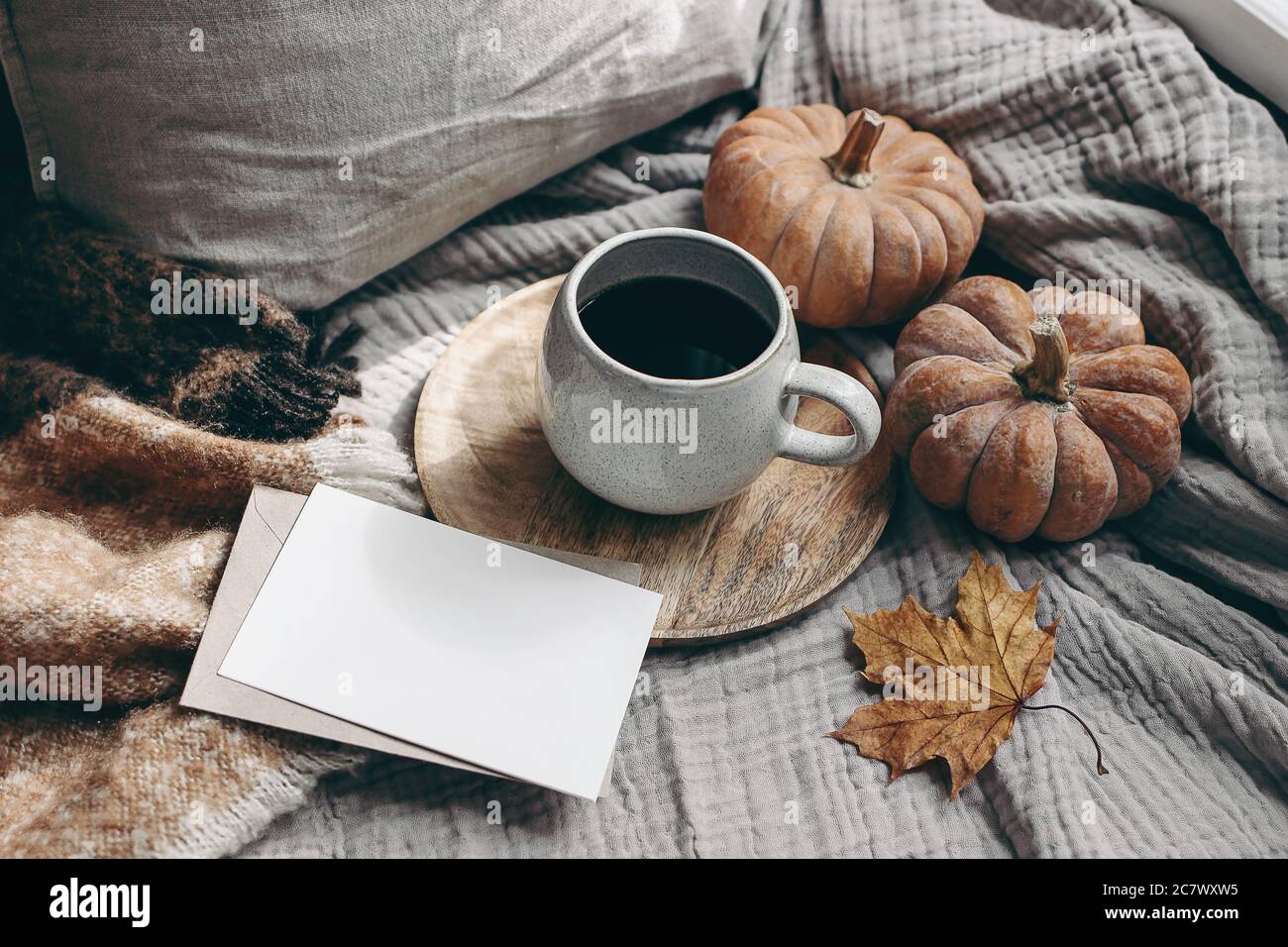 Composizione autunnale dallo stile femminile. Colazione autunno ancora vita. Oscura scena di mock-up di biglietto d'auguri con tazza di caffè, coperta di lana, foglia d'acero e. Foto Stock