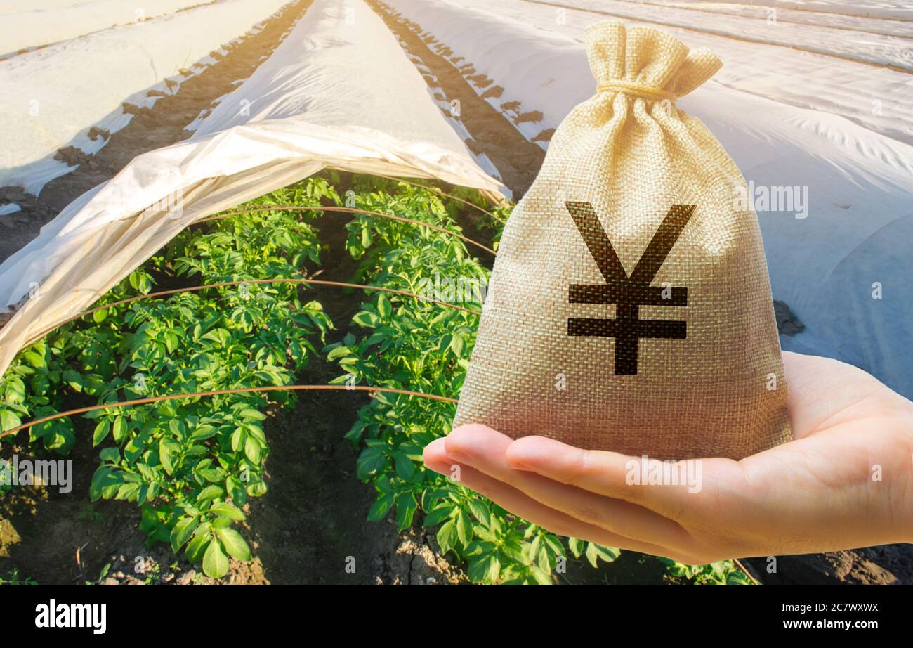 Coltivatore che tiene un sacchetto di soldi sullo sfondo delle piantagioni di patate. Lo sviluppo dell'industria agricola. Startup agricole. Prestiti e sussistenza Foto Stock