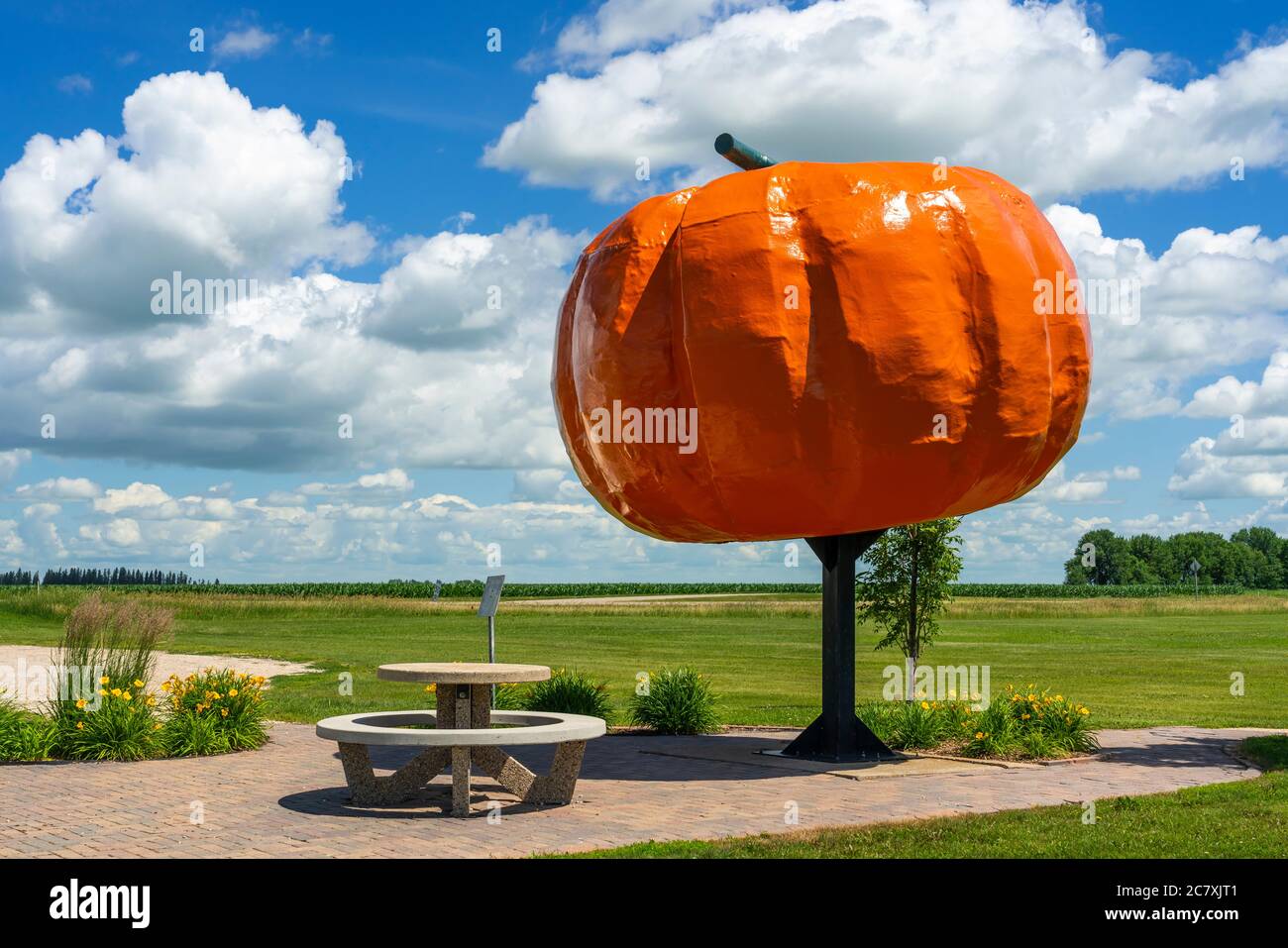 Il zucca gigante a Roland, Manitoba, Canada. Foto Stock