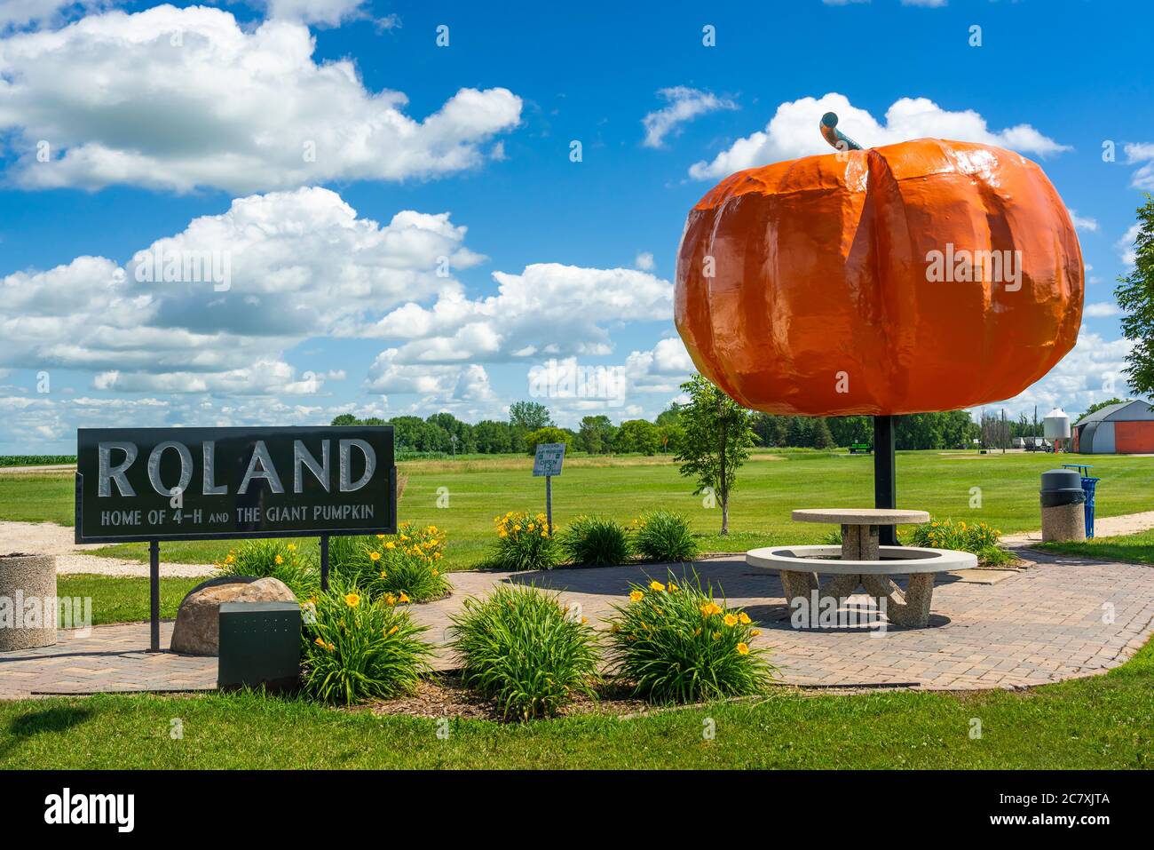 Il zucca gigante a Roland, Manitoba, Canada. Foto Stock