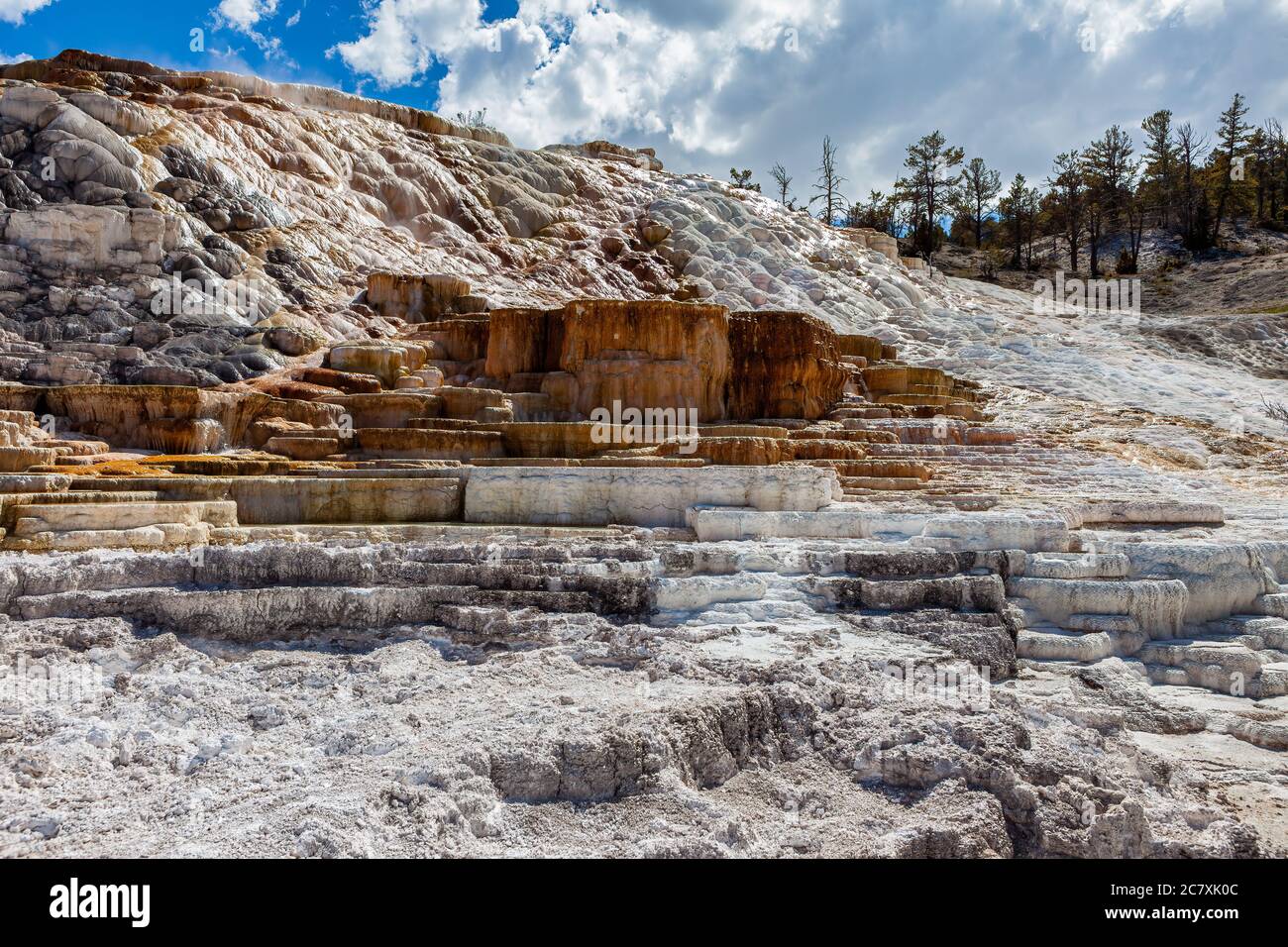 Grande area di Mammoth nel Parco Nazionale di Yellowstone visto da palette Springs Foto Stock