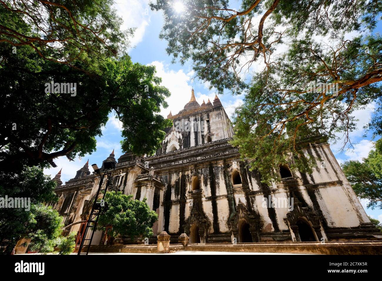 Guardando fino al Tempio di Thatbyinnyu sotto il cielo blu del sole. Il phto più alto in Bagan Myanmar. Luce del sole che splende attraverso gli alberi. Grandangolo Foto Stock