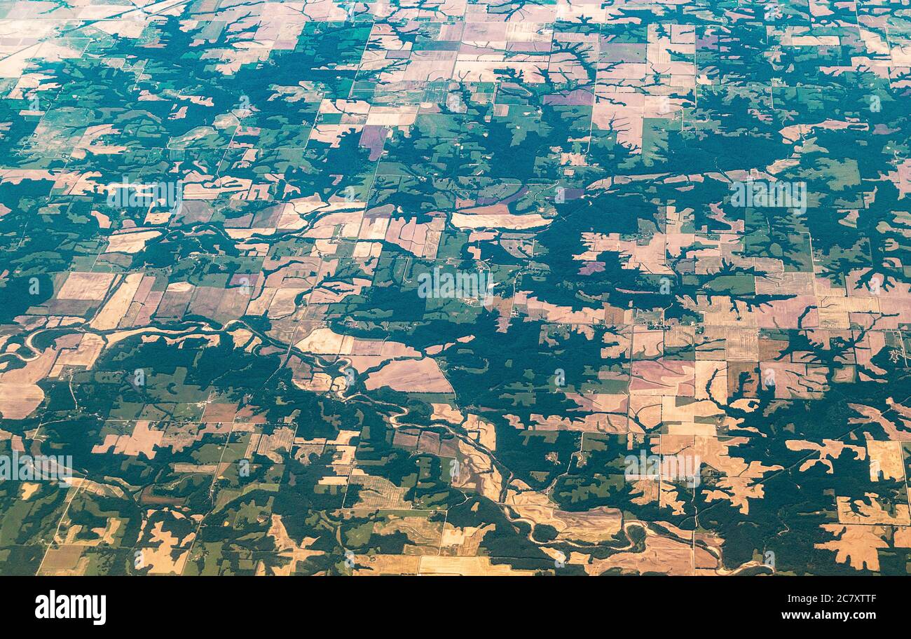 Vista aerea di campi, fiumi, foreste. Aree di paesaggio agricolo, vista aerea di crebbe in un modello diverso. Foto Stock