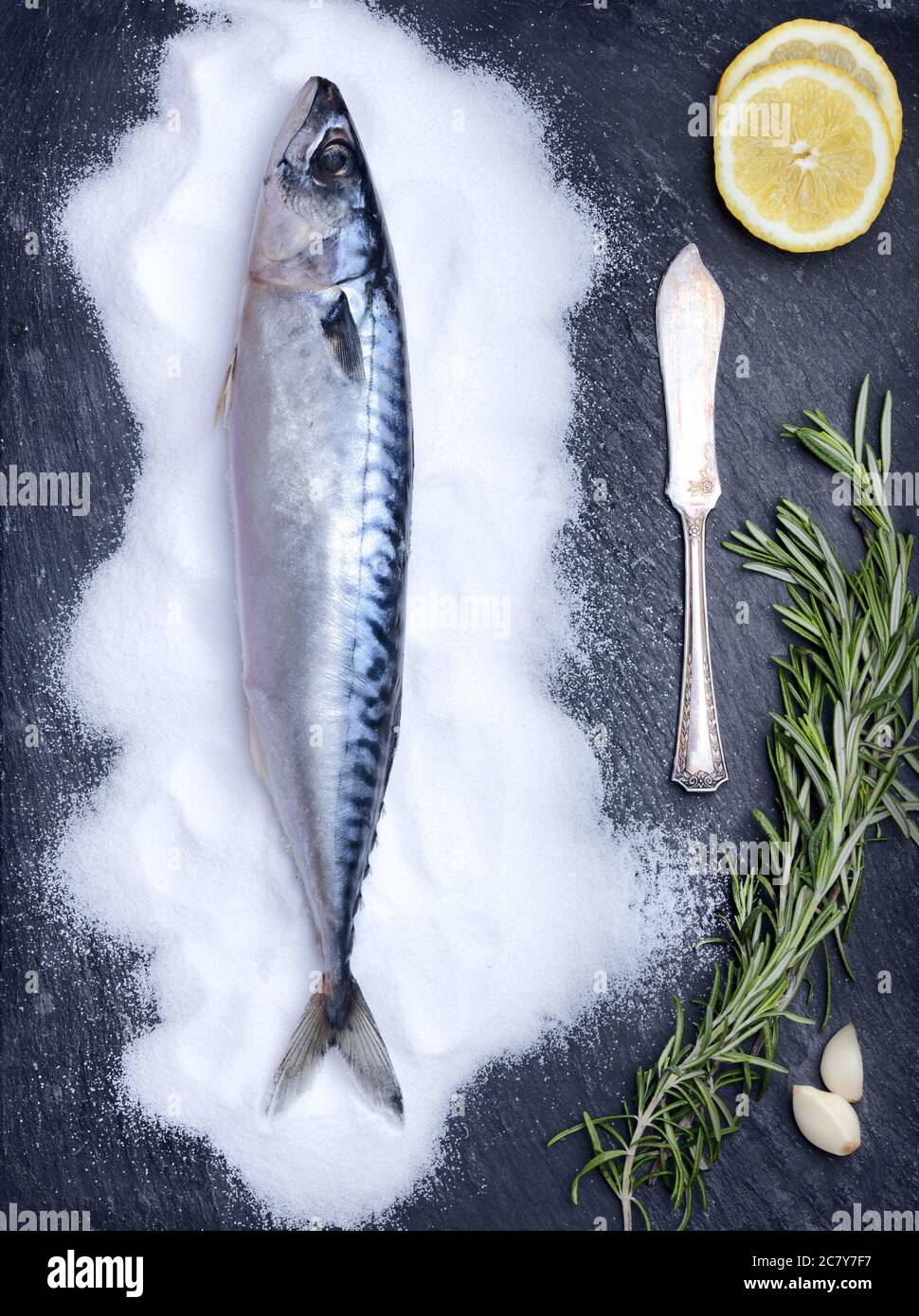 Flatlay di pesce fresco su una pietra ardesia piastra texture decorate con rosmarino, aglio, le fette di limone, il sale e il coltello. sfondo alimentare con spazio copia fo Foto Stock
