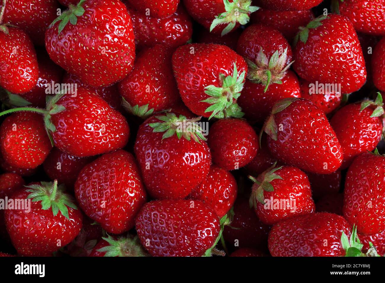 foto texture di molti fresco grande fondo di fragole mature, nessuno Foto Stock