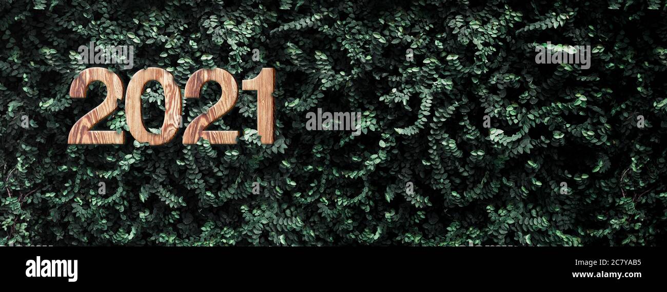 new year 2021 struttura in legno su parete tropicale verde foglia verde scuro fogliame all'aperto Foto Stock