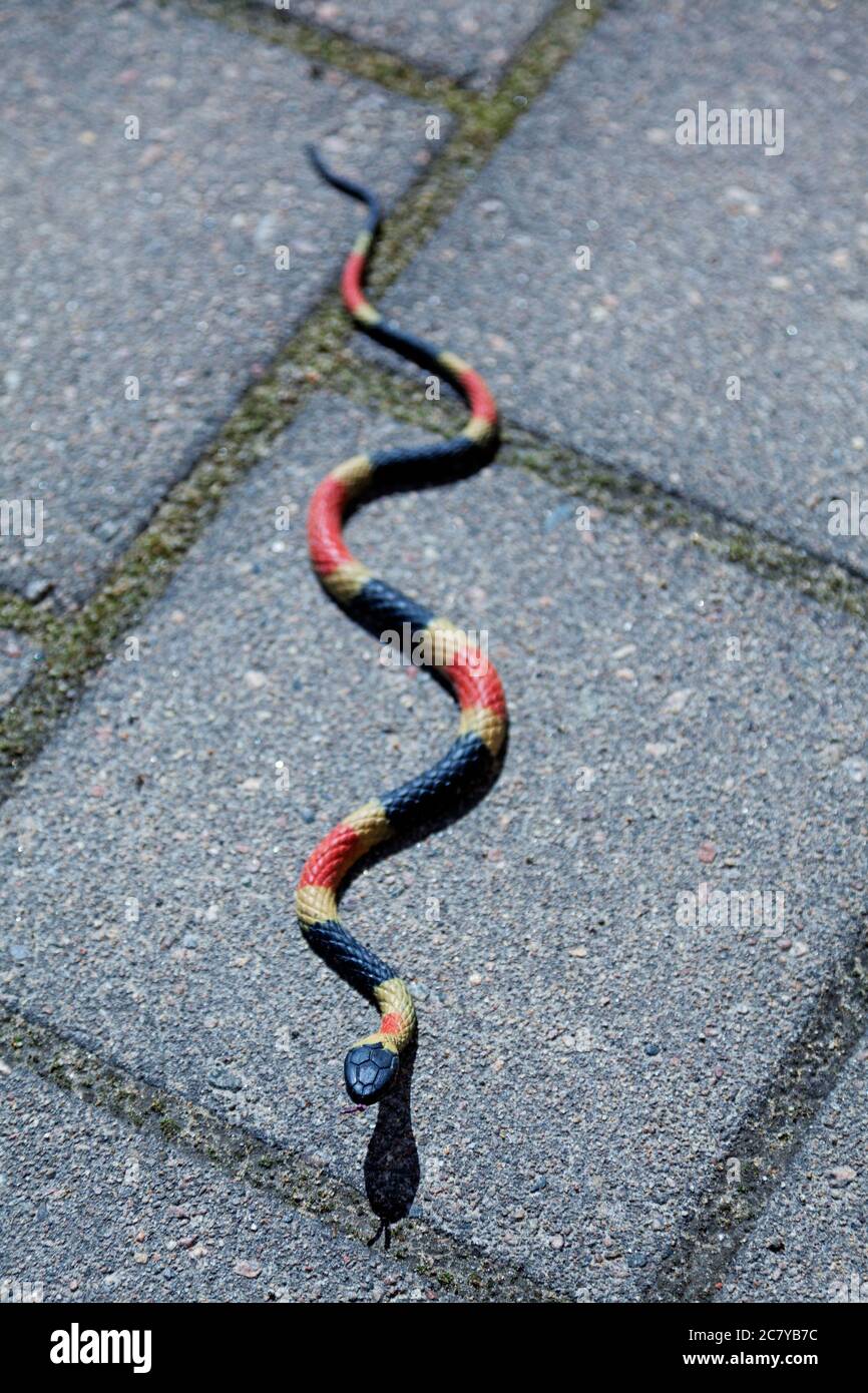 serpente di plastica che sembra molto vivo e reale Foto Stock