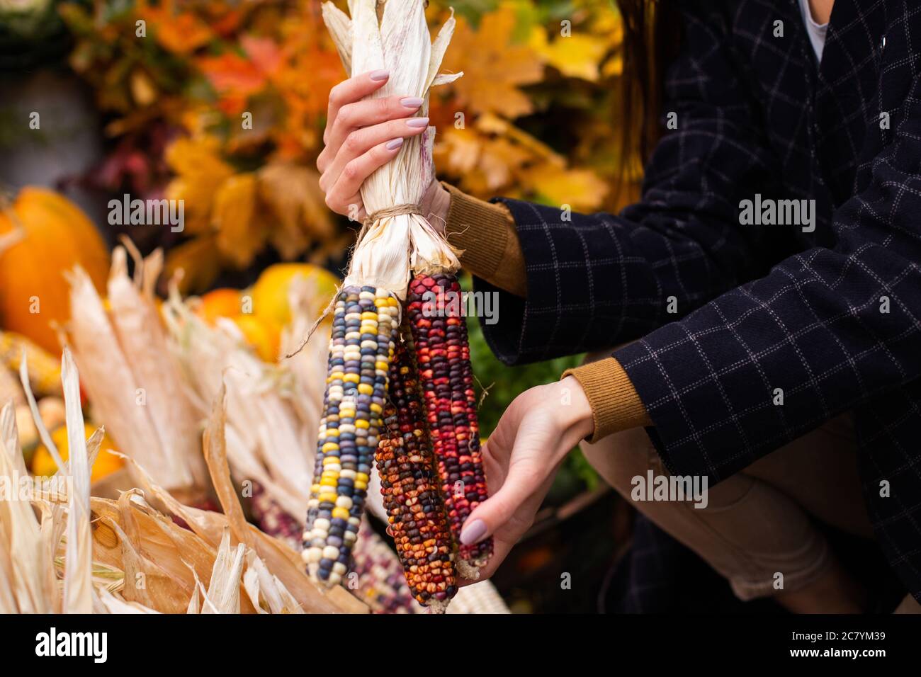 Primo piano donna che sceglie mais colorato per Halloween giorno presso il negozio di fattoria autunno Foto Stock