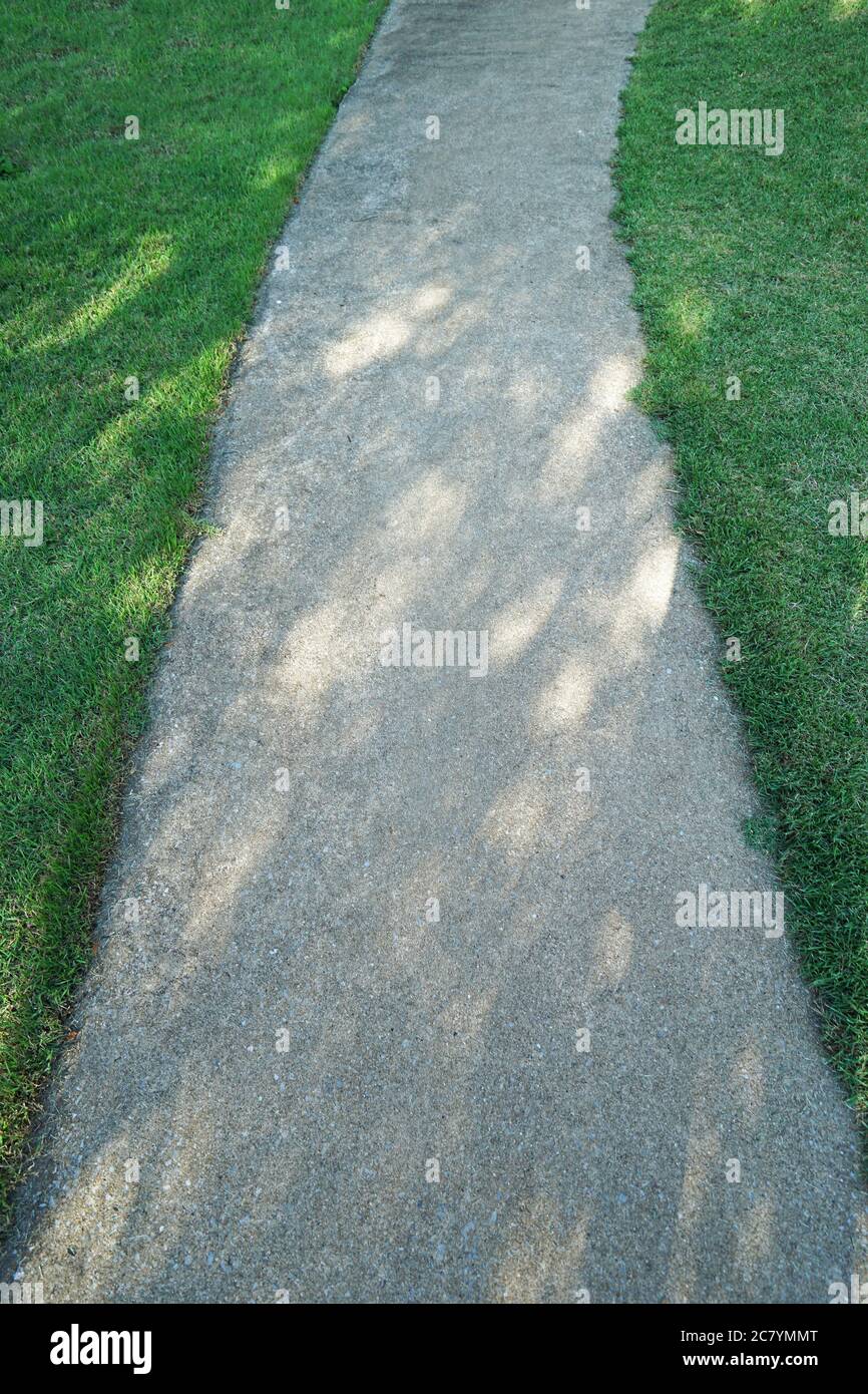 Percorso di cemento concreto tra terra erbosa verde Foto Stock