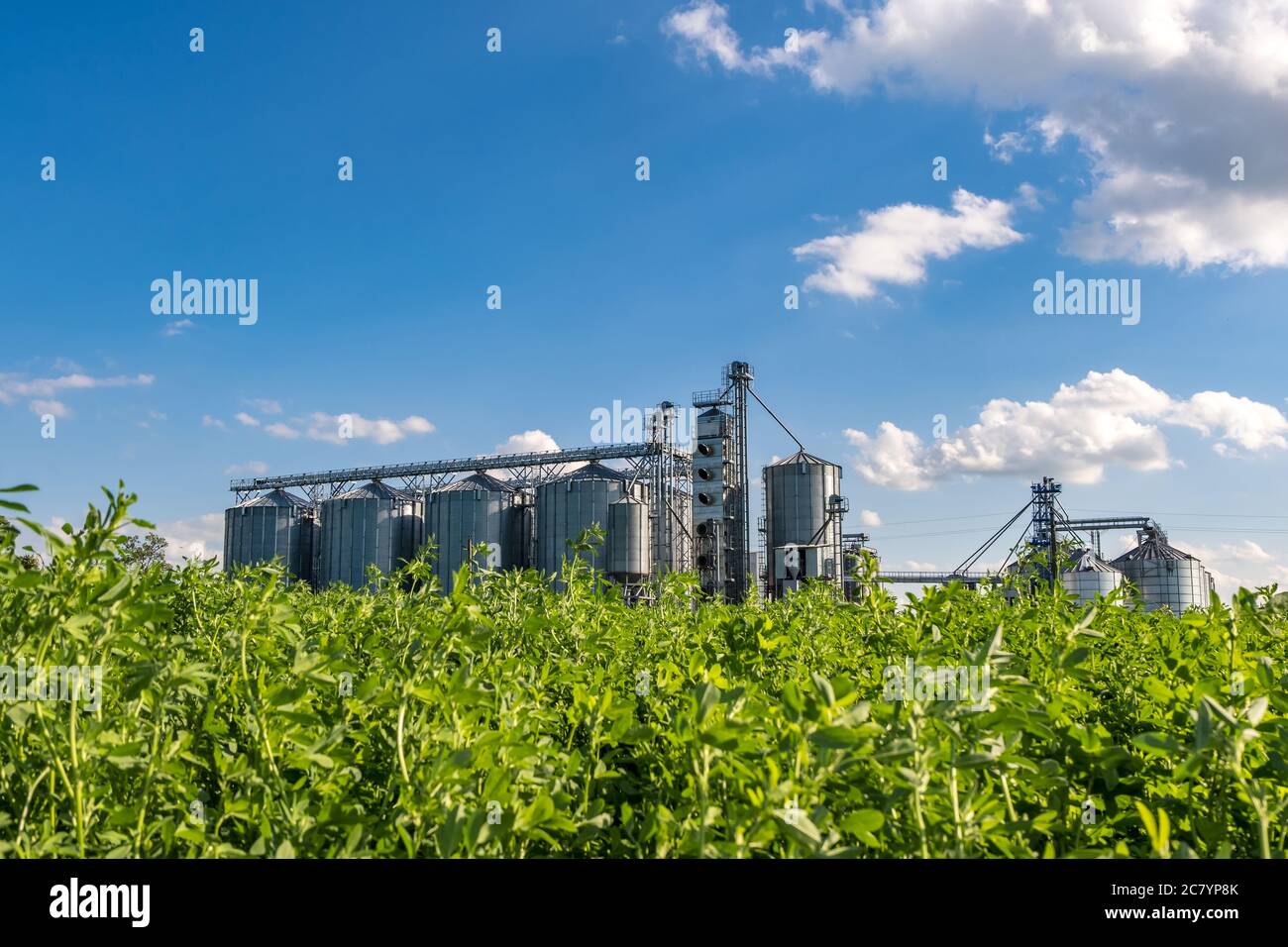 silos argentati su agro-lavorazione e impianti di lavorazione per la lavorazione dell'essiccazione pulizia e stoccaggio di prodotti agricoli, farina, cereali e cereali. Foto Stock