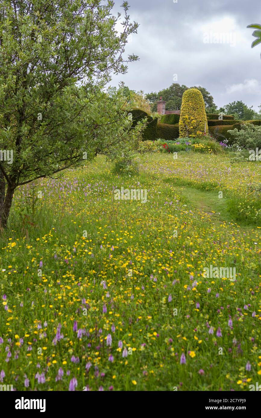 L'Orchard, la principale area di prato a Great Dixter, il famoso giardino di Christopher Lloyd a East Sussex, Inghilterra, Regno Unito Foto Stock