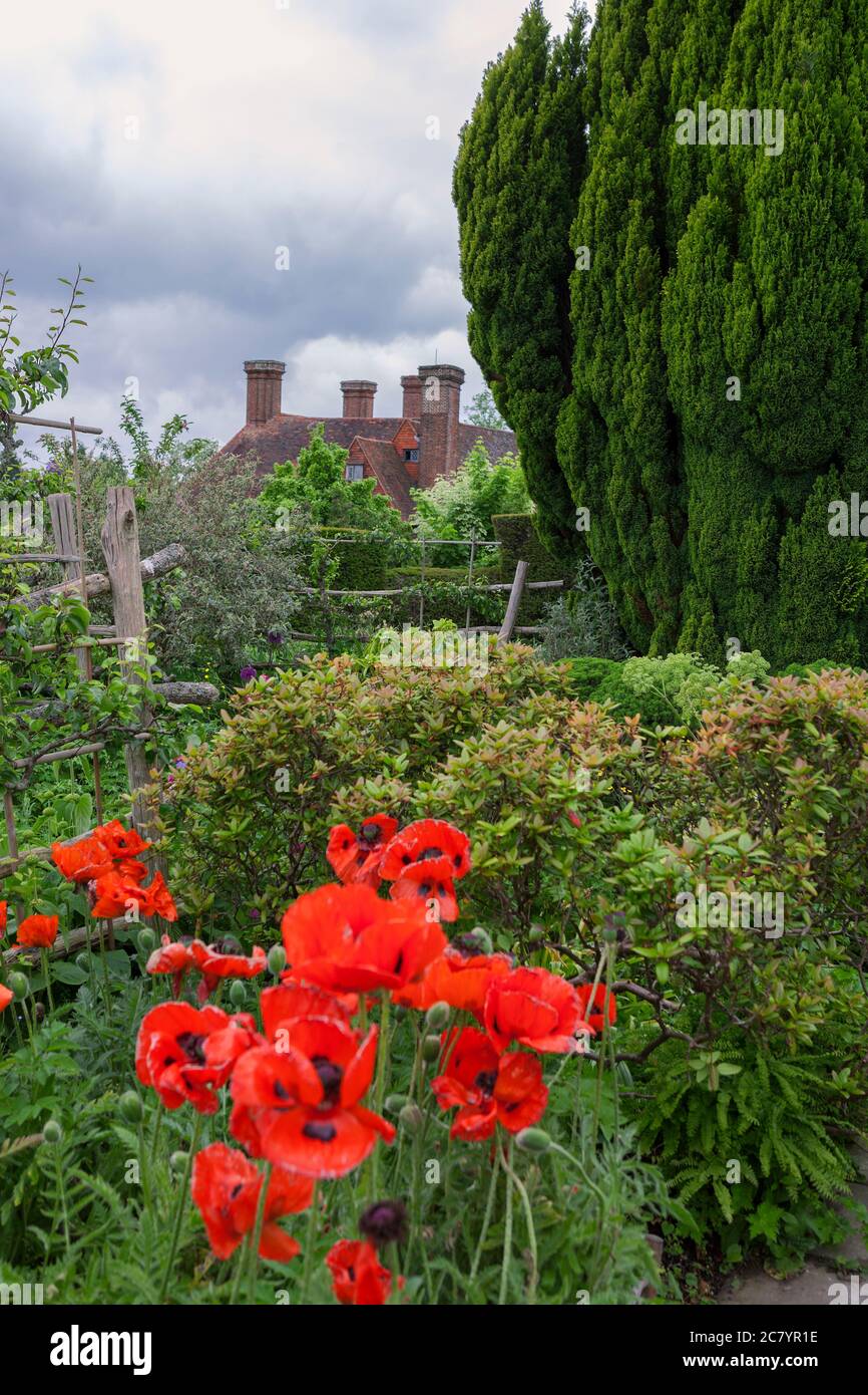 Il Giardino superiore a Great Dixter, East Sussex, Inghilterra, UK: Il famoso giardino di Christopher Lloyd, con Papava orientalis in primo piano Foto Stock