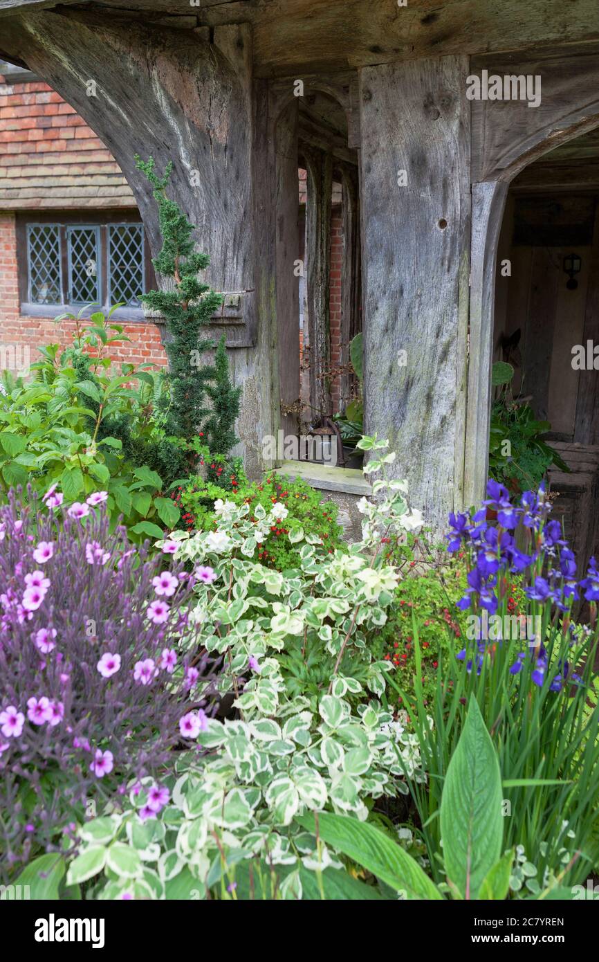 Piantando intorno al portico di entrata anteriore a Great Dixter Manor, East Sussex, Inghilterra, Regno Unito: La residenza di Christopher Lloyd's tardi e il famoso giardino Foto Stock