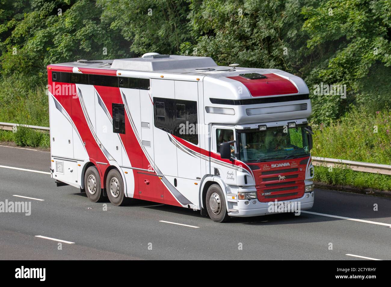 Elsa Grace, Angel Eardley rosso bianco Scania P380 pulmino crine; Coach costruito e conversione trasporto di animali viaggiando sull'autostrada M6, Lancashire, Regno Unito Foto Stock