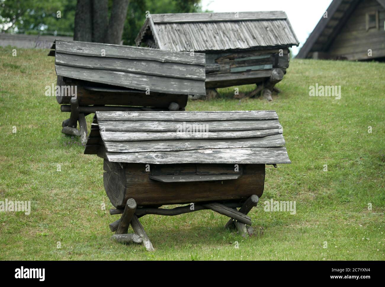 Museo lituano dell'apicoltura antica nel villaggio di Stripeikiai, parco nazionale di Aukstaitija Foto Stock