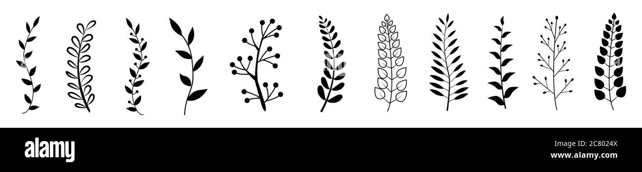 Set wreaths e laurel.Hand dipinte verdi rami, foglie, foglie, petali elementi decorativi Illustrazione Vettoriale