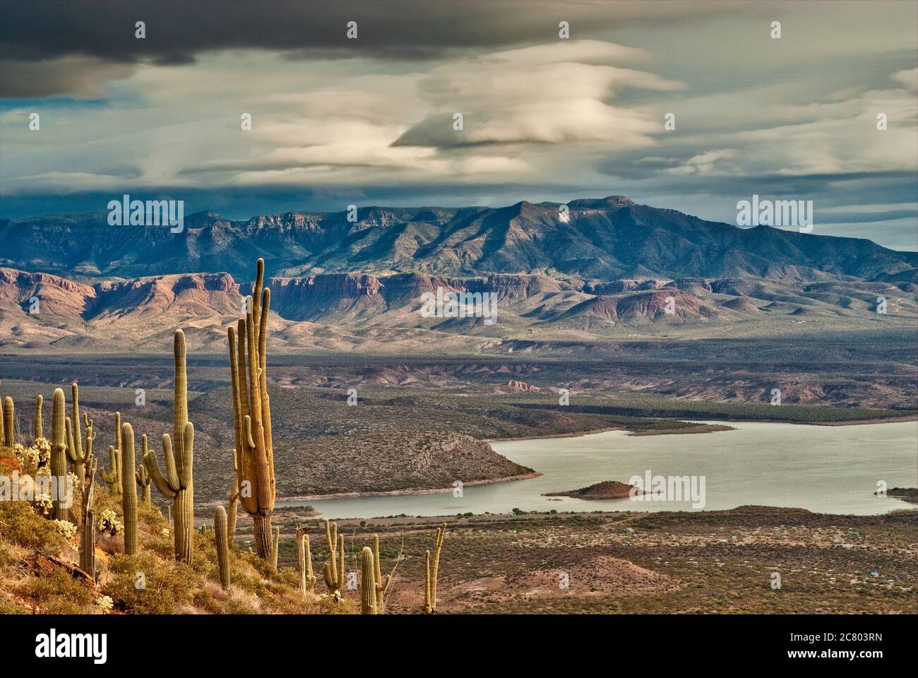 Saguaros, il lago Theodore Roosevelt nel bacino di Tonto, Sierra Ancha visto da Lower Cliff Dwelling al monumento Tonto Natl, Superstition Mtns, Arizona, Stati Uniti Foto Stock