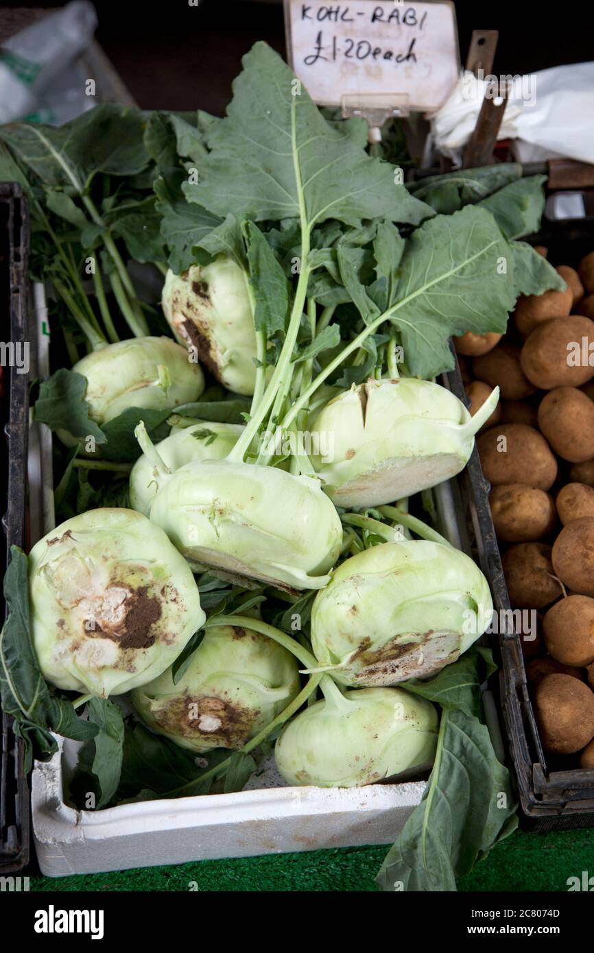 Campo fresco kohlrabi verde chiaro in una scatola ad un mercato agricolo Foto Stock