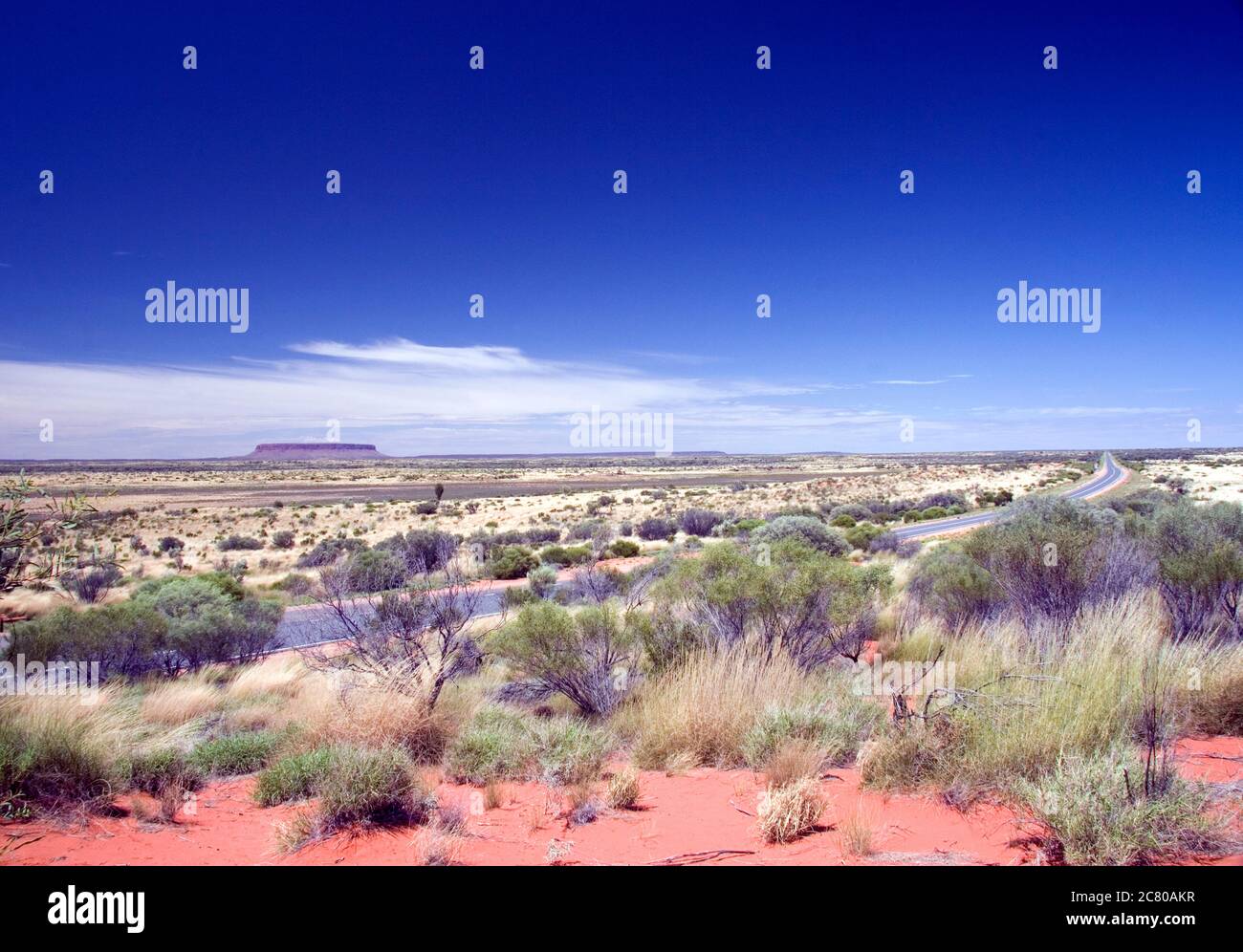 Vista a lunga distanza del Monte Conner e della macchia australiana, stazione di Curtin Springs, territorio del Nord, Australia, Australasia Foto Stock
