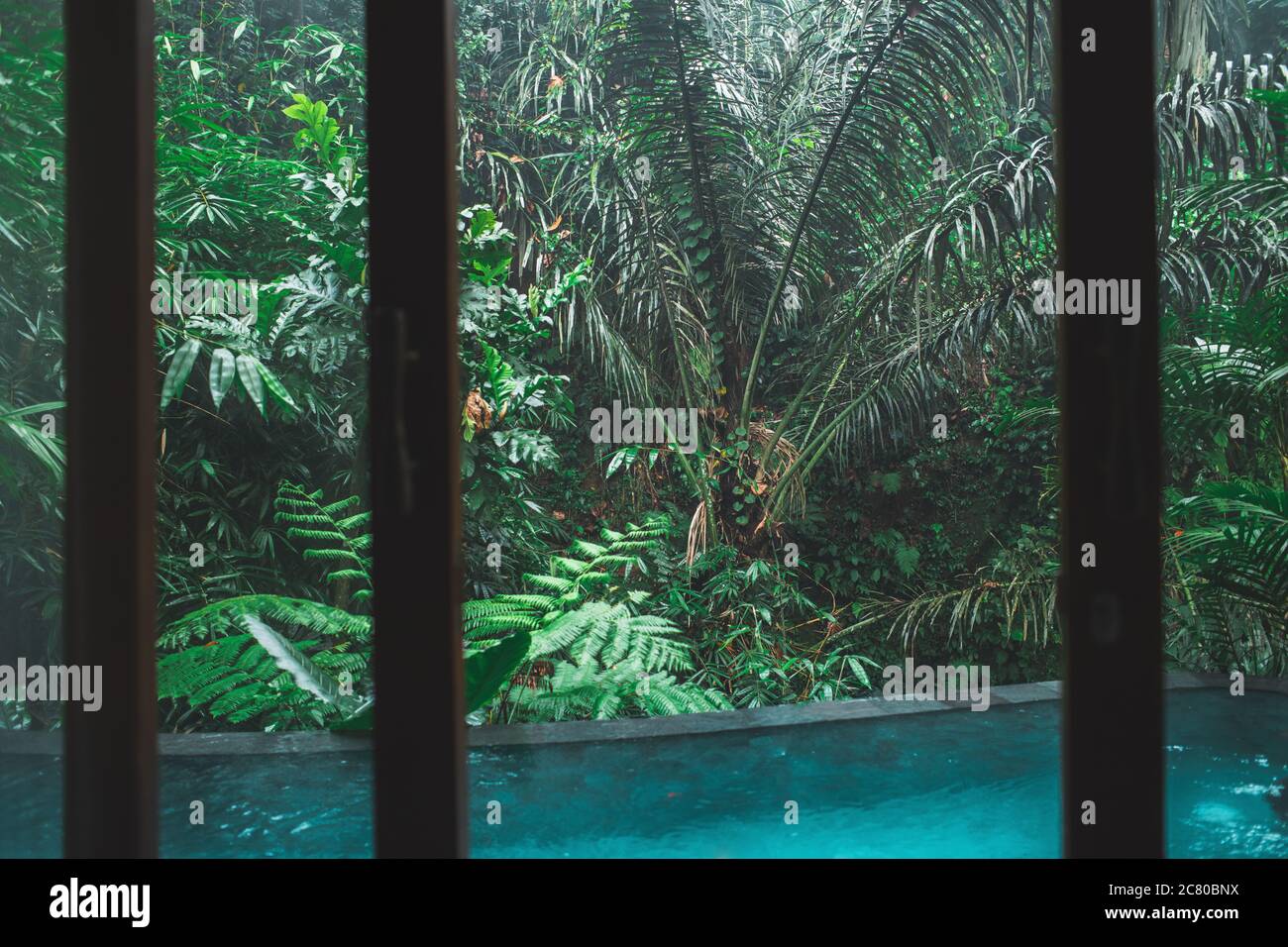 Vista stupenda sulla giungla dalla camera dell'hotel con piscina privata. Lussuoso centro termale a Bali, Ubud. Foto Stock