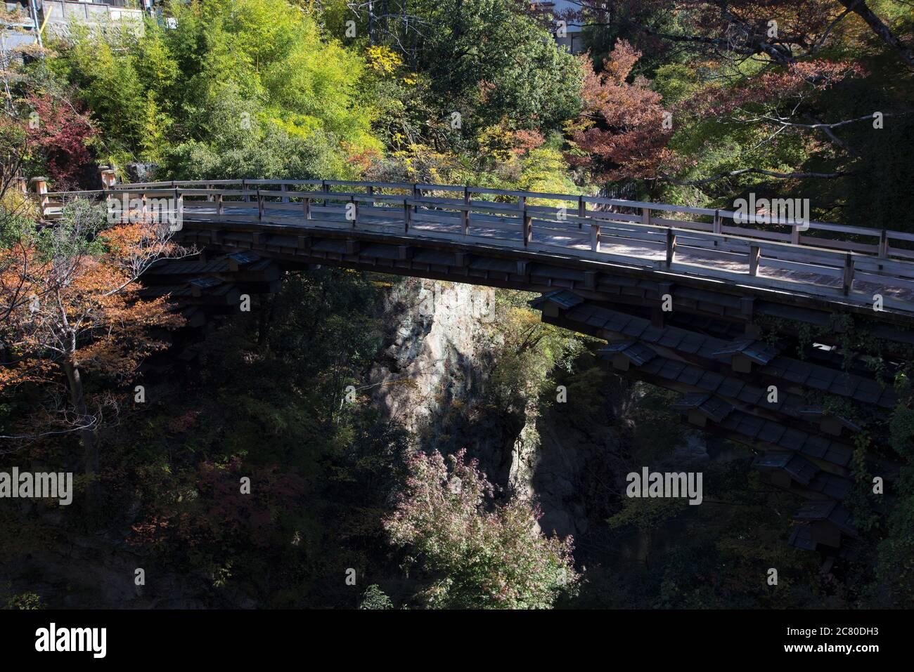 Ponte Saru-hashi (Monkey Bridge) Foto Stock