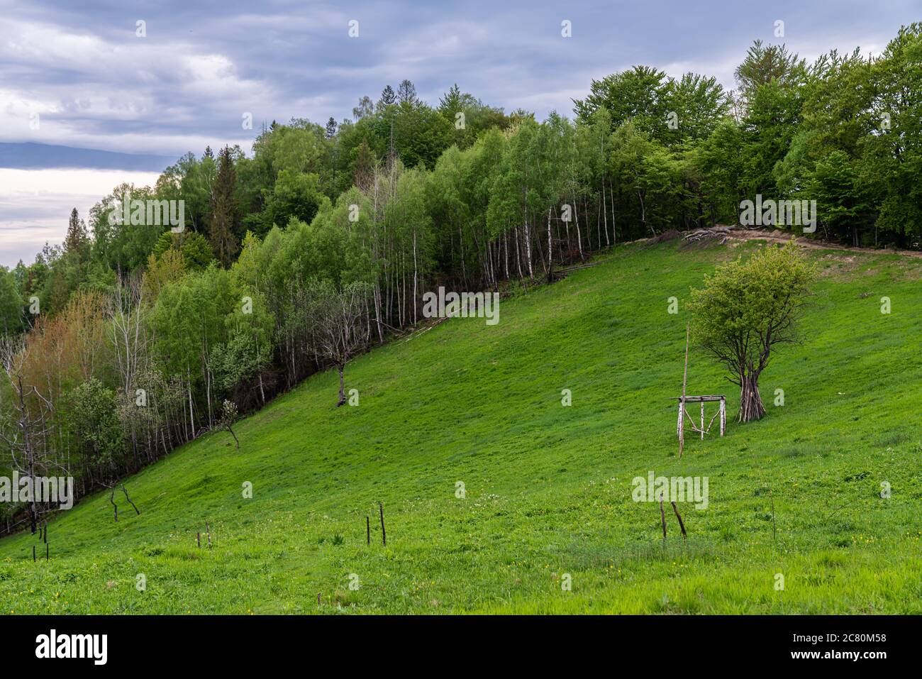 Campagna montagnosa a mezzogiorno, splendido paesaggio rurale con alberi e campi sulle colline ondulate ai piedi del crinale Foto Stock