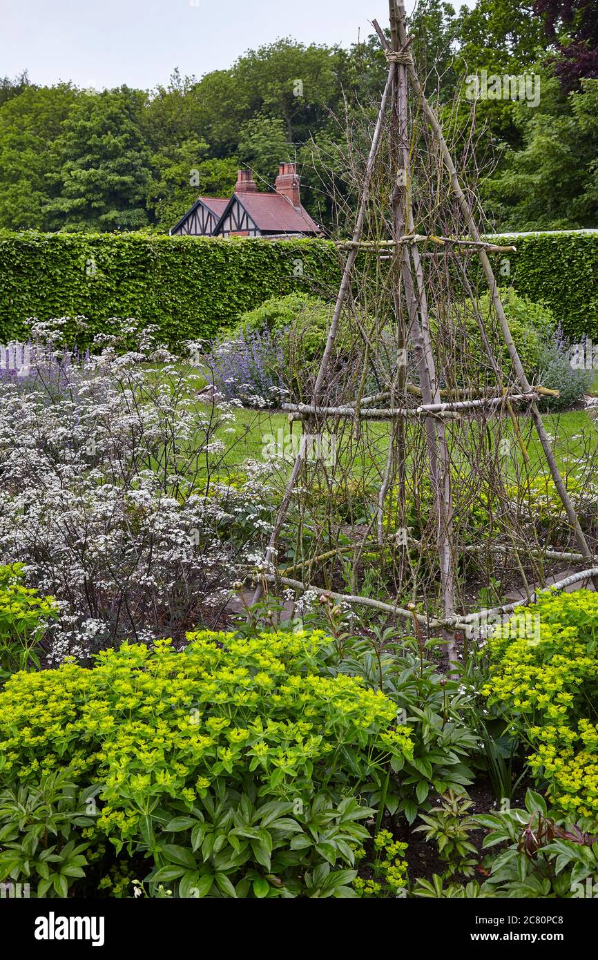 Vista del Perennial Meadow, Scampston Hall giardino murato progettato dal paesaggista olandese Piet Oudolf con vari fiori, arbusti e siepi Foto Stock