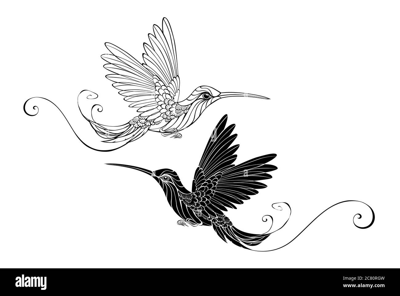 Due uccelli contorno hummingbirds nero e bianco su uno sfondo trasparente Illustrazione Vettoriale