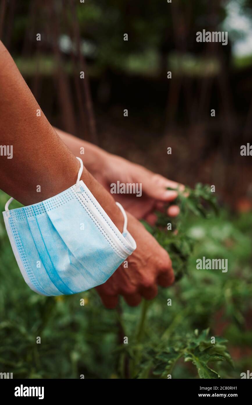 primo piano di un giovane contadino in un frutteto biologico che indossa la sua maschera chirurgica al polso mentre sta prendendo un respiro di portarla Foto Stock