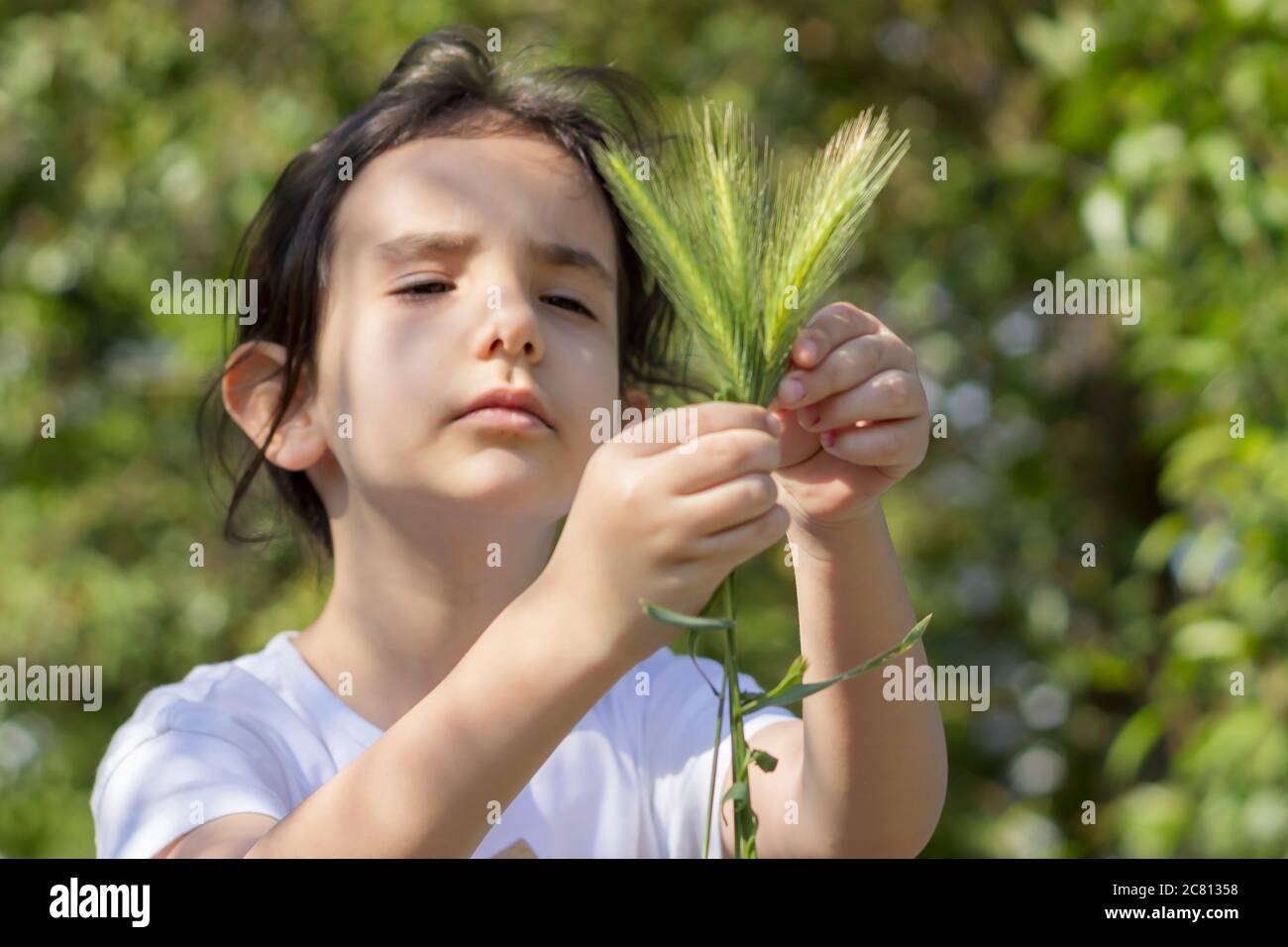 una ragazza di prety che tiene una testa di grano. La figlia contadina che tiene una testa di grano nella fattoria Foto Stock