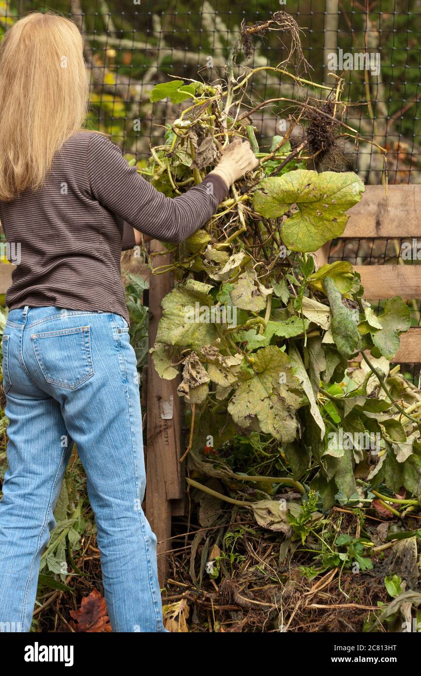 Donna, Barb, discarica erbacce e piante indesiderate in un palo di composto in Issaquah, Washington, Stati Uniti Foto Stock