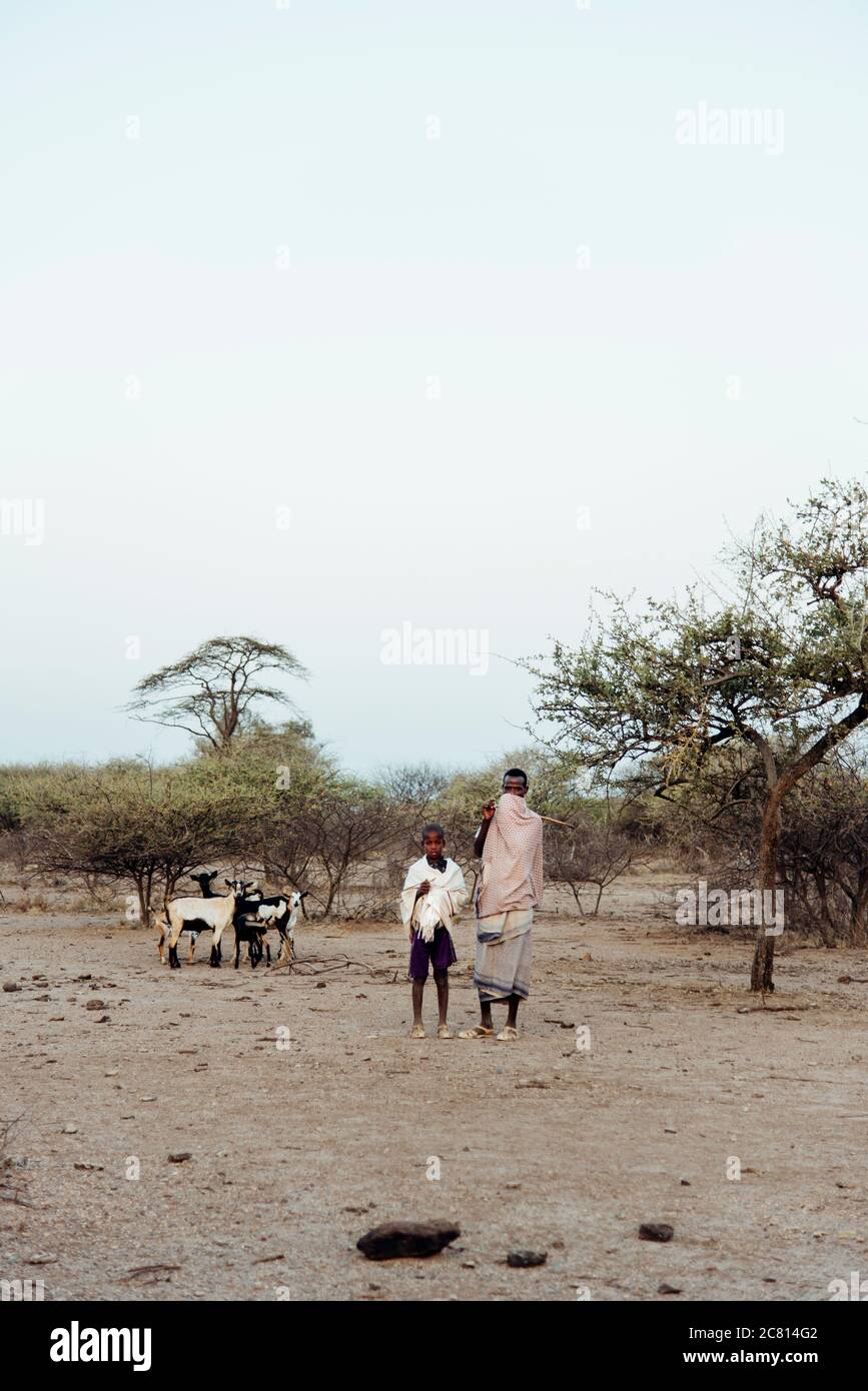 Padre e Figlio nomadi della tribù Afar si occupano delle loro capre nel Parco Nazionale di Awash, nella regione di Afar, Etiopia del Nord Foto Stock