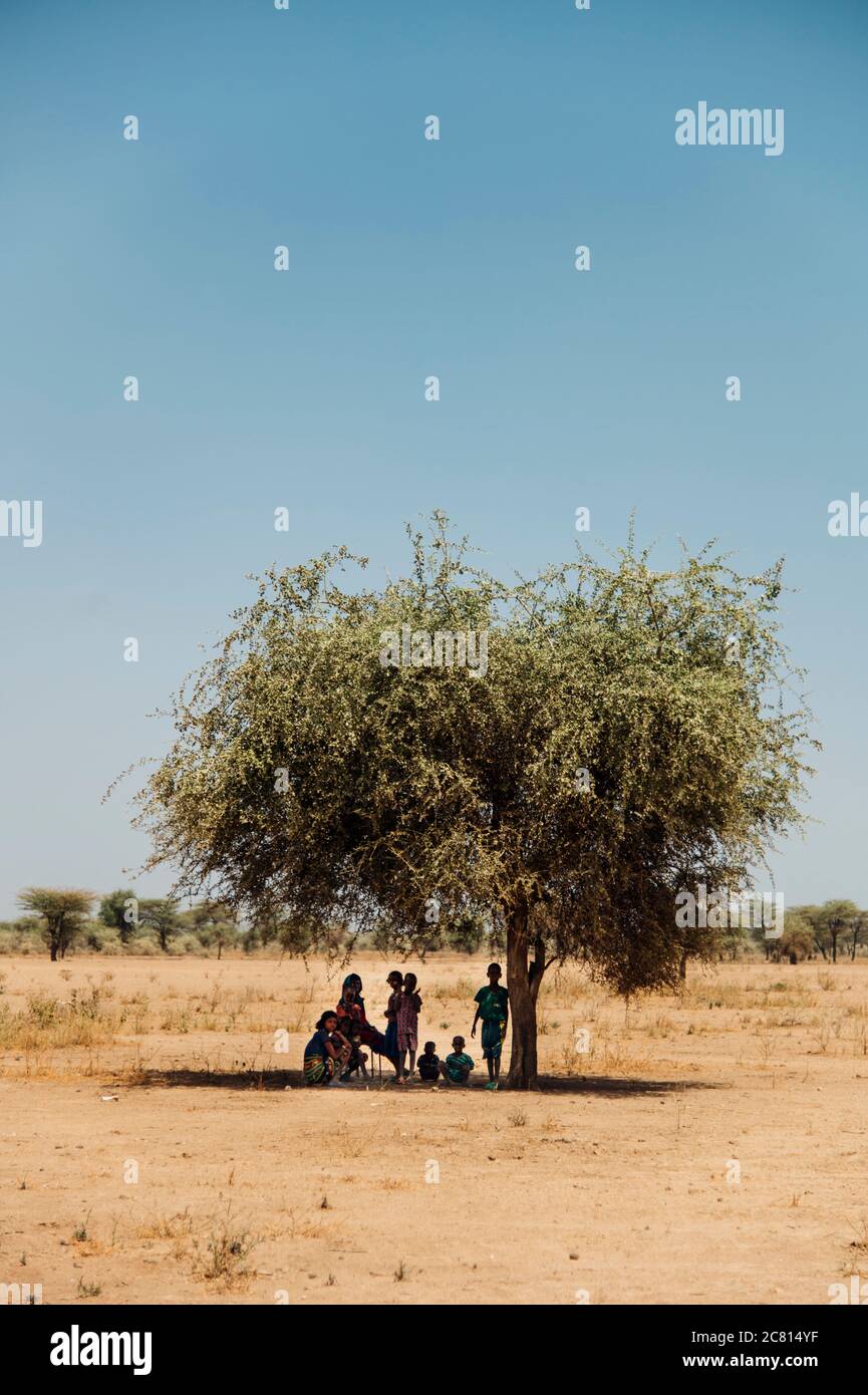 Le donne e i bambini nomadi di Afar, Etiopia del Nord, si rifugiano dal caldo sole del deserto sotto un piccolo albero. Foto Stock