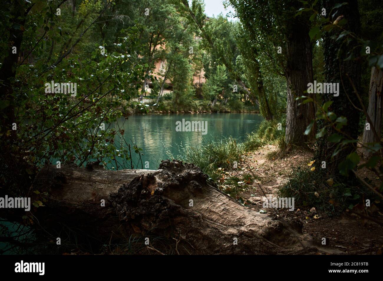 Fantastico lago circondato da una foresta a Cuenca (Spagna) Foto Stock