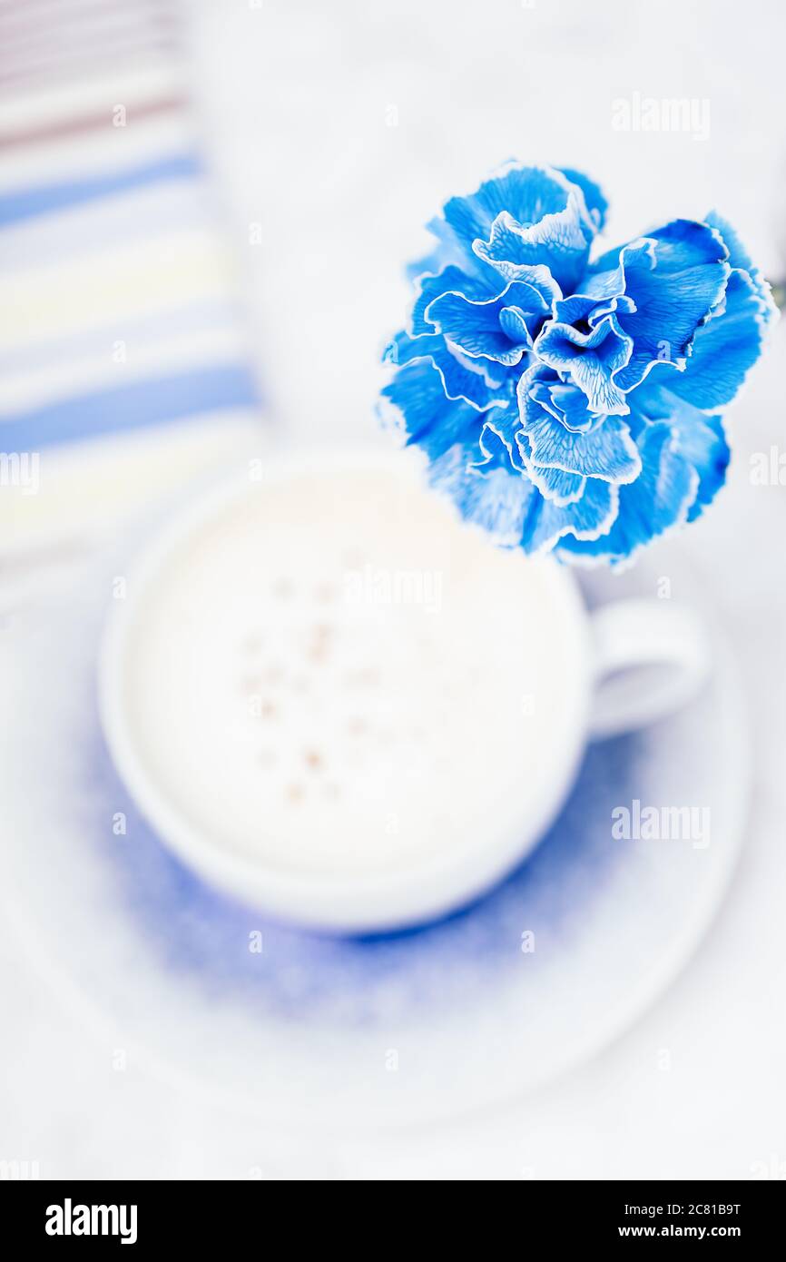 Fiore di garofano blu su sfondo cappuccino, spazio copia, vista dall'alto Foto Stock
