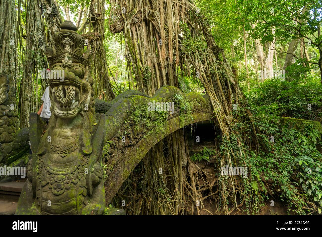 Vista della Foresta delle scimmie sacre a Ubud Foto Stock