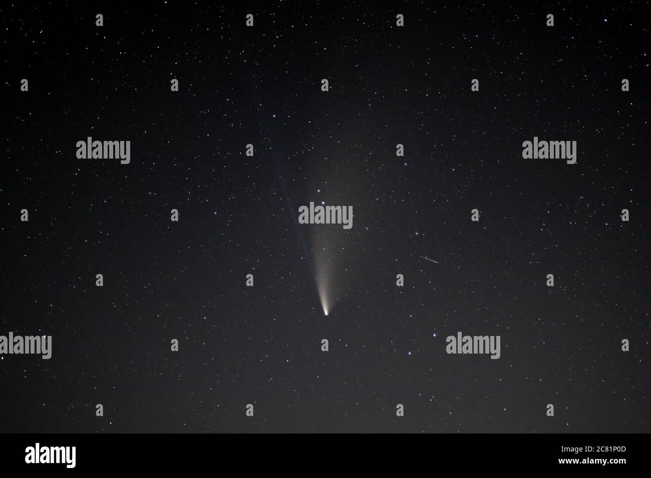 Cometa C/2020 F3 (NEOWISE) visto il 20 luglio 2020 dal Galles, Regno Unito. Emisfero settentrionale. Polvere e gas ioni sono entrambi chiaramente visibili. Foto Stock