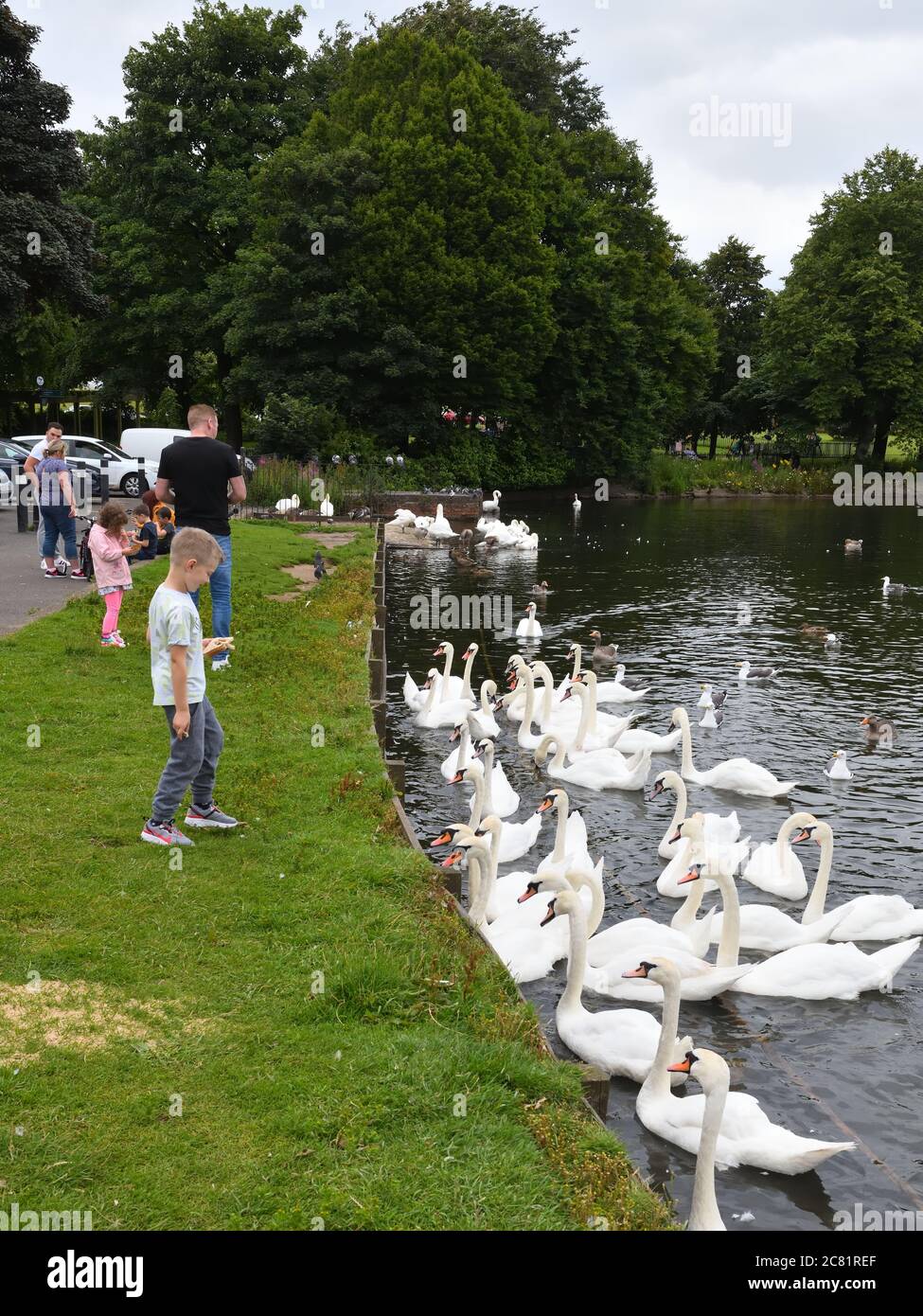 Glasgow, Scozia, Regno Unito. 20 luglio 2020. Lockdown Adeed e Glaswegiani sono in vacanza 'Fair Lunedi' tradizionale. Questo ragazzo alimenta il gregge di cigni a Hogganfield Loch. Credito. Douglas Carr/Alamy Live News Foto Stock