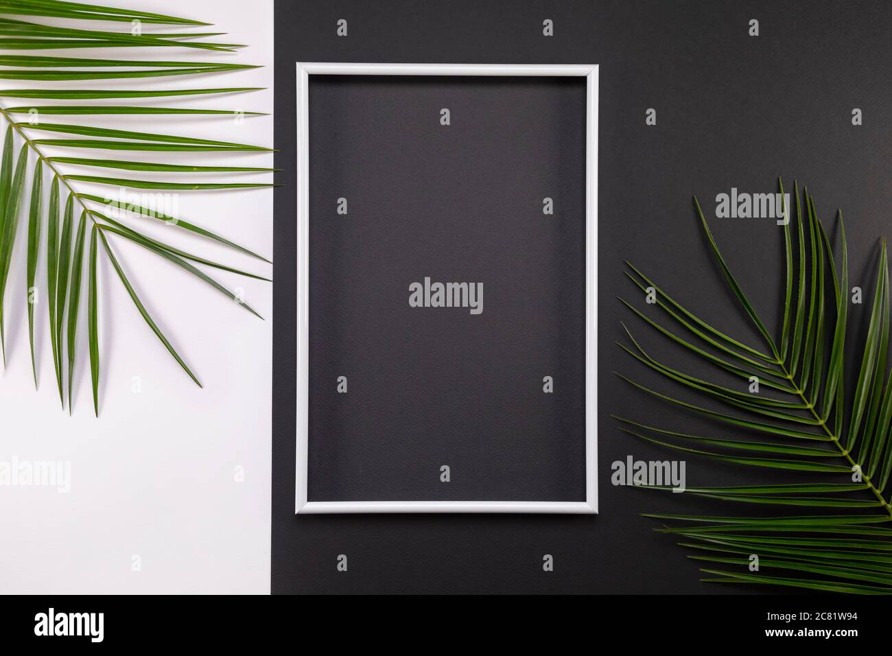 Cornice di foglie di palma tropicali su sfondo bianco e nero. Disposizione piatta, vista dall'alto, spazio per la copia. Sfondo estivo, natura. Sfondo creativo con Foto Stock